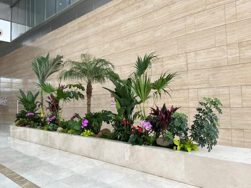 慈溪花木租摆哪家好